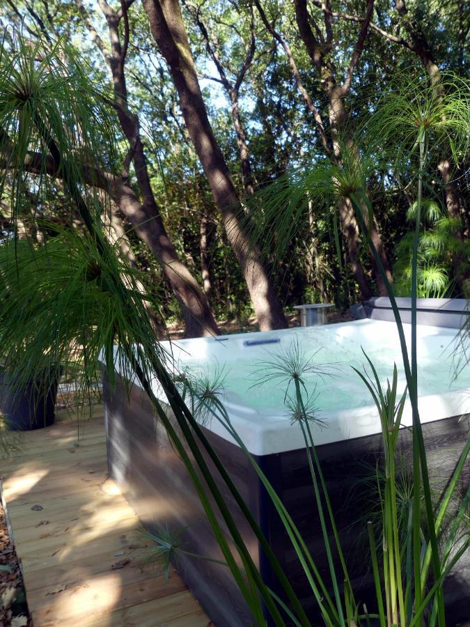 Le Predaiou Bed & Breakfast La Garde Adhemar Luaran gambar